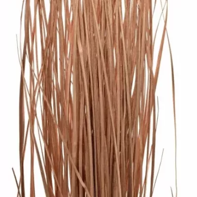 GRASS BEARGRASS COPPER 70cm 