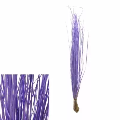 GRASS BEARGRASS 60cm MILKA