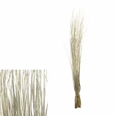 GRASS BEARGRASS 60cm PLATINUM
