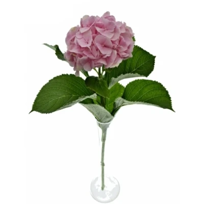 Hortenzie MACROPHYLLA APHRODITE (ROZE)