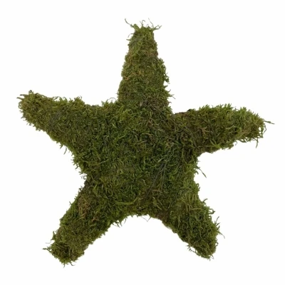 Hvězda mech 20cm