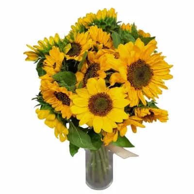 Jednodruhová kytice 15 žlutých slunečnic