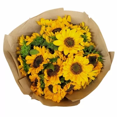 Jednodruhová kytice 21 žlutých slunečnic v dárkovém balení