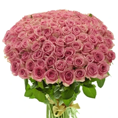 Jednodruhová kytice 55 růžových růží HEAVEN