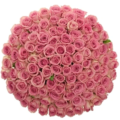 Jednodruhová kytice 55 růžových růží HEAVEN