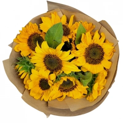 Jednodruhová kytice 9 žlutých slunečnic v dárkovém balení