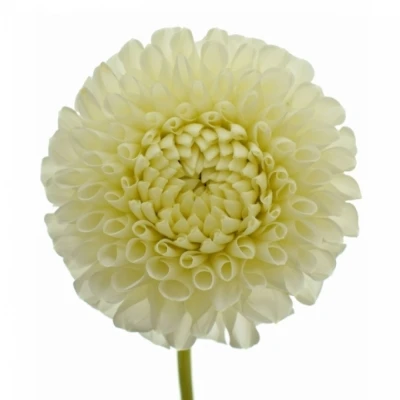 Jiřina BAZUIN SNOW WHITE 40cm