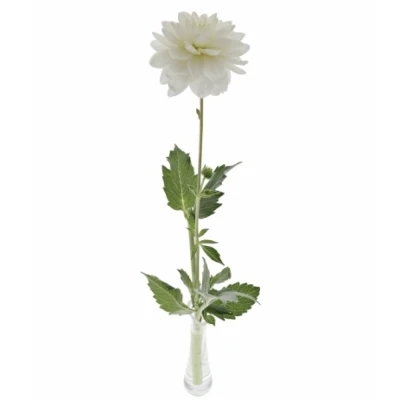 Jiřina GLOSSY FLORENTINA