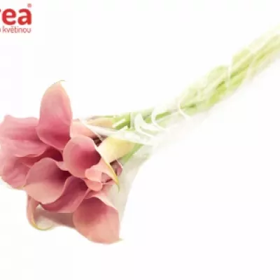 Kala TOTALL TOUCH 65cm