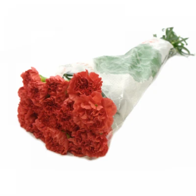 Karafiát ST HERMES ORANGE