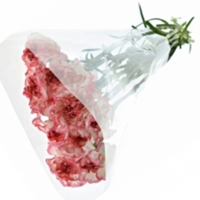 Karafiát ST KOMACHI