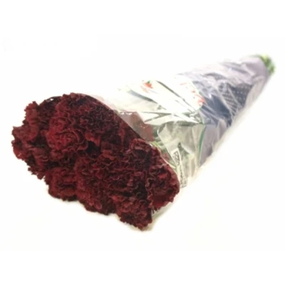 Karafiát ST SASSICAIA