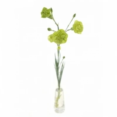 Karafiát TR RASCAL GREEN