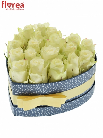 Krabička bielych ruží ATHENA modrá 19x9cm