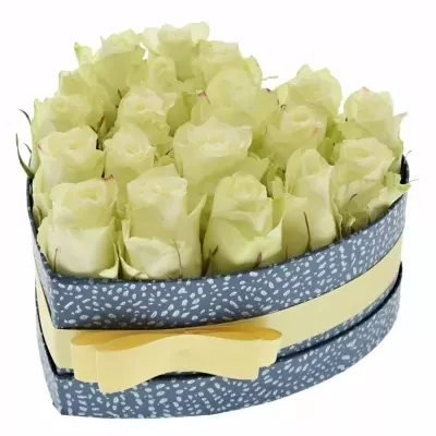 Krabička bílých růží ATHENA modrá 19x9cm