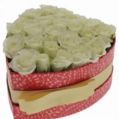 Krabička bielych ruží SNOWFLAKE červená 15x8cm
