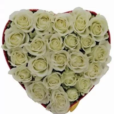 Krabička bílých růží SHERINE červená 15x8cm