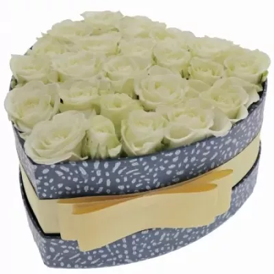 Krabička bílých růží SHERINE modrá 15x8cm