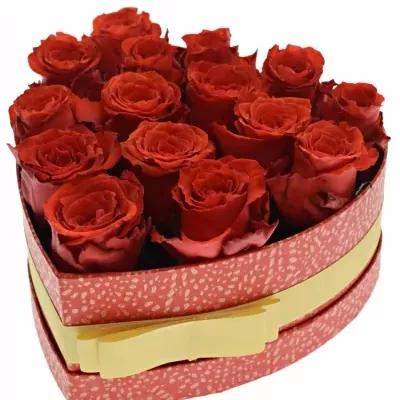 Krabička červených růží BRIGHT TORCH červená 19x9cm
