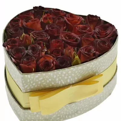 Krabička červených růží CHOCOCCINO šampaň 15x8cm