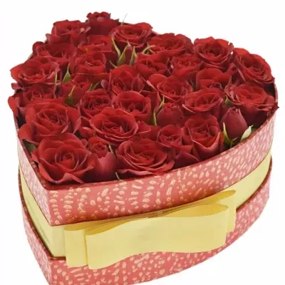 Krabička červených růží MIRABELA červená 15x8cm