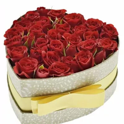 Krabička červených ruží MIRABELA šampaň 15x8cm