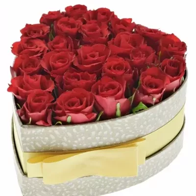 Krabička červených růží RED CALYPSO šampaň 15x8cm
