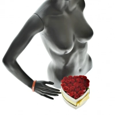 Krabička červených růží RED CALYPSO šampaň 15x8cm