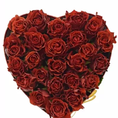 Krabička červených růží RED CORVETTE červená 24x10cm