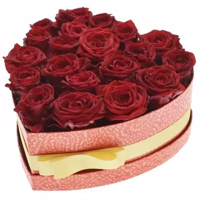 Jednodruhová krabička 20 červených růží RED NAOMI 24x10cm