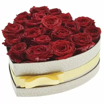 Jednodruhová krabička 20 červených růží RED NAOMI 24x10cm