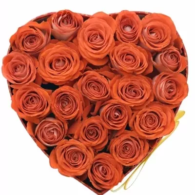 Krabička červených růží ZADIQUE červená 15x8cm