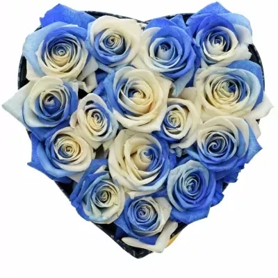 Krabička duhových růží RAINBOW BLUEWHITE modrá 19x9cm