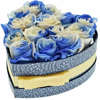Krabička duhových růží RAINBOW BLUEWHITE modrá 19x9cm