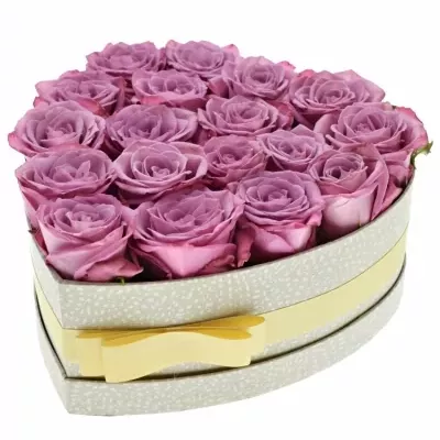 Krabička fialových růží MOODY BLUES šampaň 24x10cm