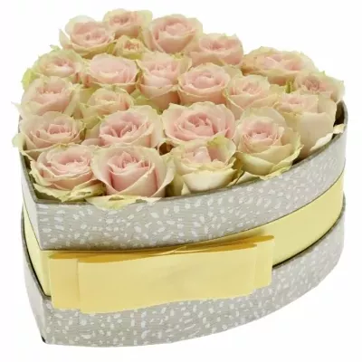 Krabička krémových ruží JELENA šampaň 15x8cm