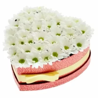 Míchaná krabička bílých květin ANAMARI 24x10cm