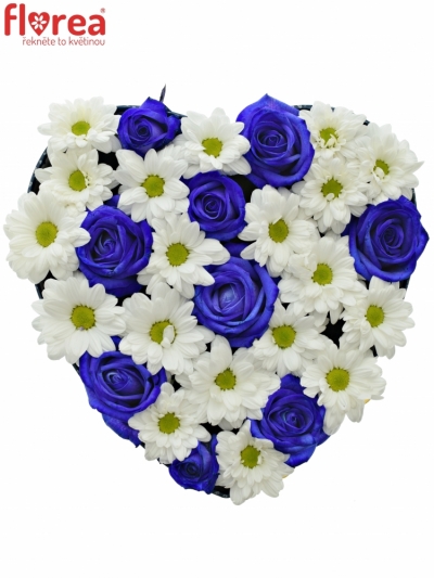 Krabička květin BANDOLINA modrá 24x10cm