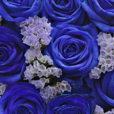 Krabička květin BLUEENNA modrá 19x9cm
