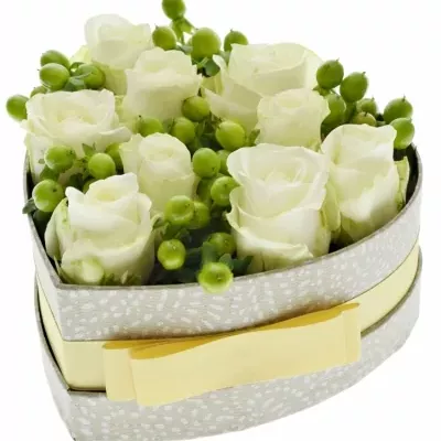 Krabička kvetov GREEN KITTY šampaň 15x8cm