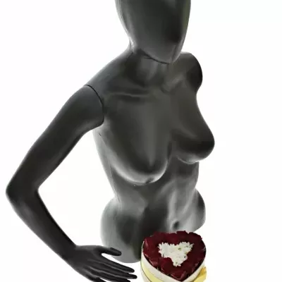 Krabička květin HEART BEAT šampaň 15x8cm