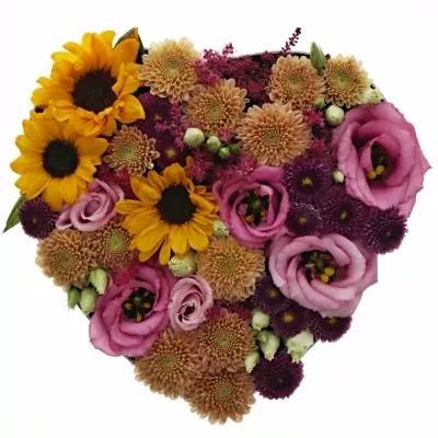 Krabička kvetín Hellenia šampaň 19x9cm