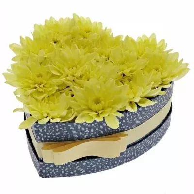 Míchaná krabička žlutých květin JOMBBE 19x9cm
