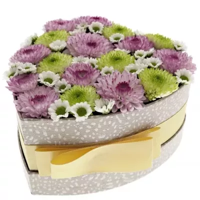 Krabička květin LINDAIA šampaň 15x8cm