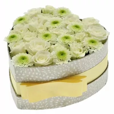 Krabička květin LINEA šampaň 15x8cm