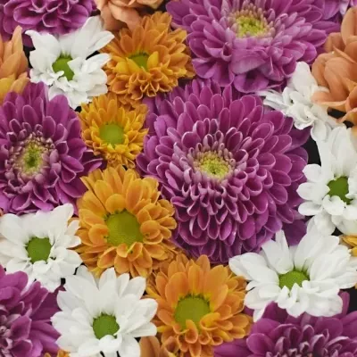 Krabička květin MARGUERITE modrá 19x9cm