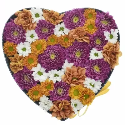 Krabička květin MARGUERITE modrá 19x9cm