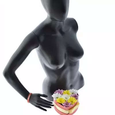 Krabička kvetín NINA červená 15x8cm