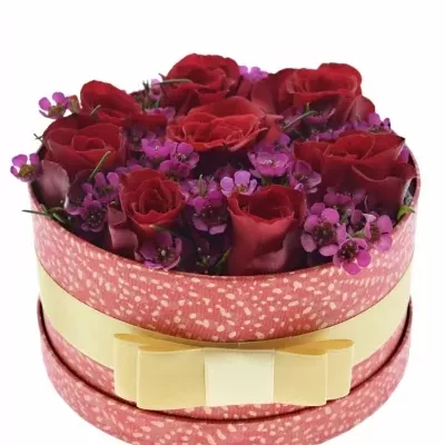 Míchaná krabička  květin ORESTA 18x8cm