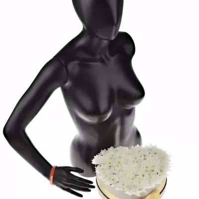 Krabička kvetín PINA COLADA champagne 24x10cm